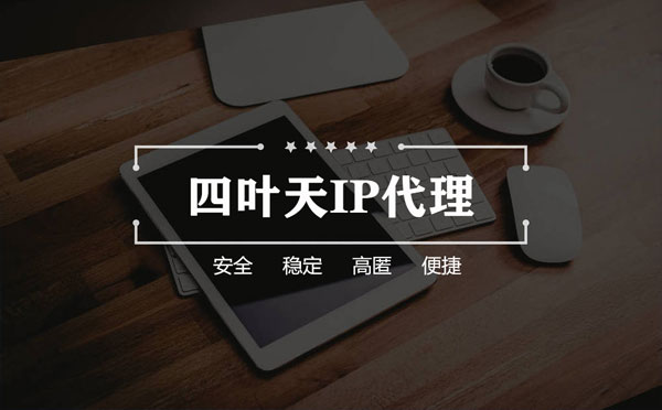 【宜春代理IP】如何快速搭建代理IP？怎么检查代理的效果？