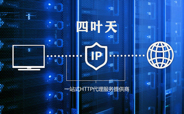 【宜春代理IP】代理IP的主要用途和使用注意事项